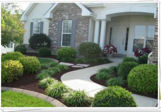 Xeriscape Front Yard and Landscaping01