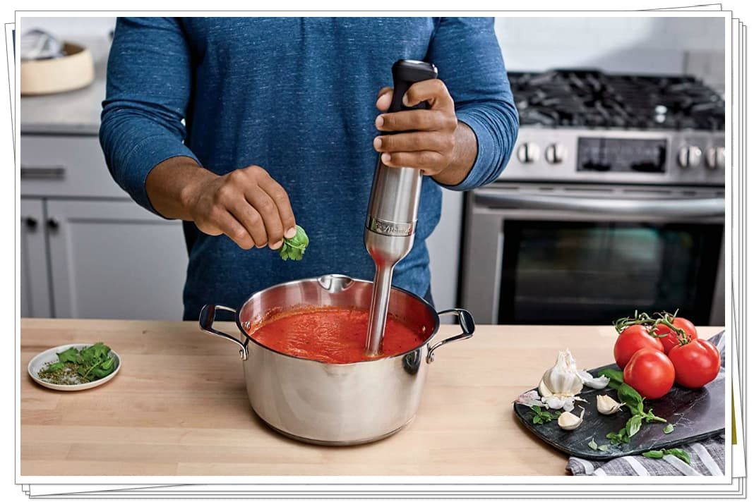 What is the Most Versatile Blender You Can Have in Your Kitchen? Vitamix Immersion Blender(067991) Review