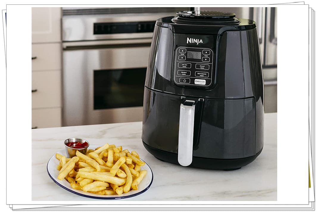 What to Look in the New Air Fryer You are Buying? Ninja AF101 Air Fryer Review