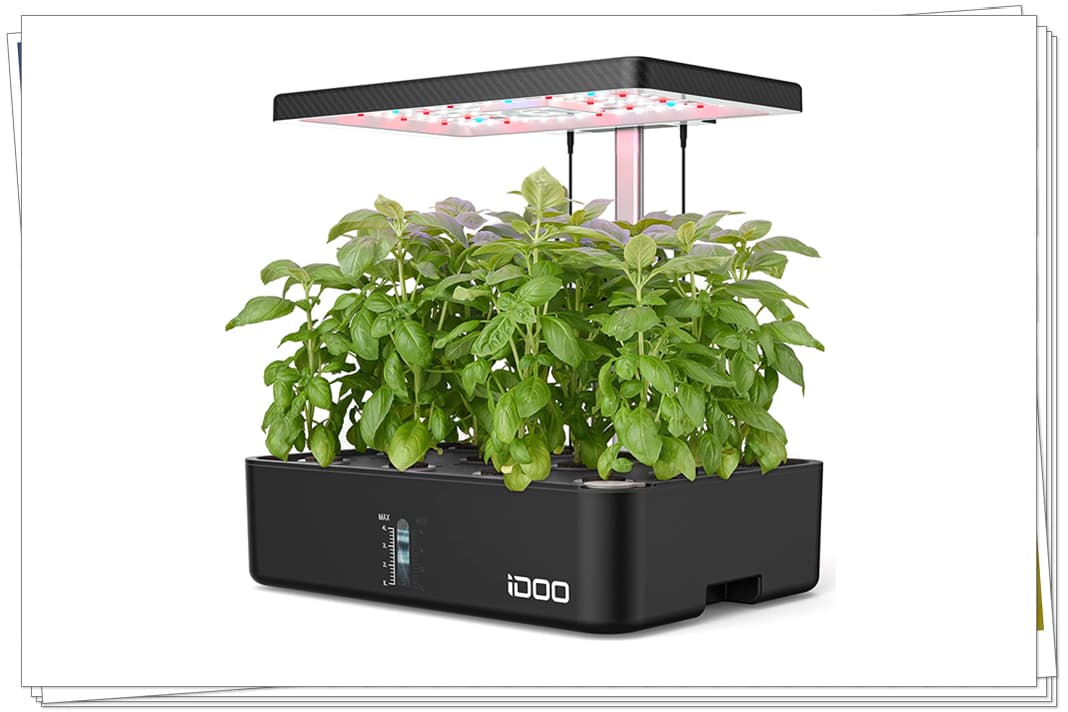 How Can iDOO 12Pods Hydroponics Growing System Meet Your Gardening Needs?