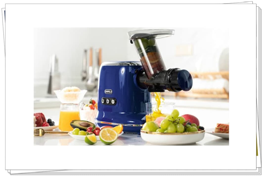 Why You Need An ORFELD Masticating Juicer?